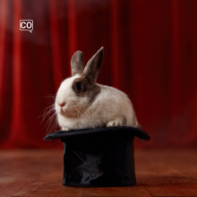 Comparecer (comparer)