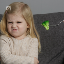 Detestar (detestare)