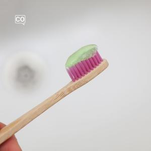 La brosse à dents