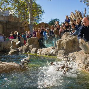 Zoo