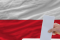 Głosować (votar)